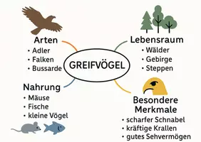 Vorschau - Arbeitsblätter - Lernposter + Arbeitsblatt zum Thema "Greifvögel" + Onlineübung & MP3 + Mindmap + Infografik - Seite 3