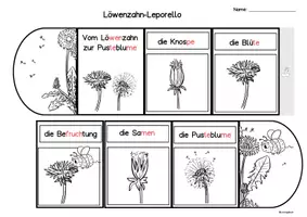 Vorschau - Arbeitsblätter - Löwenzahn Leporello, Silbenschrift, Klasse 1, 2, Förderunterricht, Förderschule - Seite 2