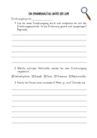 Vorschau - Arbeitsblätter - Fallbeispiele Ernährung - Ein Ernährungstag unter der Lupe 2-fach differenziert - Seite 2