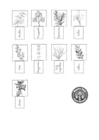 anteprima - Altro tipo di materiale - 🌿✨ Il Giardino Verticale delle Erbe Aromatiche 🌿🍃 - Pagina 2