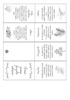 anteprima - Altro tipo di materiale - 🌿✨ Il Giardino Verticale delle Erbe Aromatiche 🌿🍃 - Pagina 3