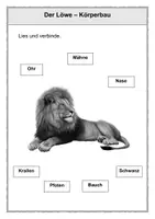 Vorschau - Arbeitsblätter - Löwen - Körperbau (1. und 2. Klasse) - Seite 3