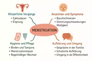 Vorschau - Arbeitsblätter - Lernposter + Arbeitsblätter zum Thema "Menstruation" + Lösung & MP3 + Mindmap + Infografik - Seite 3