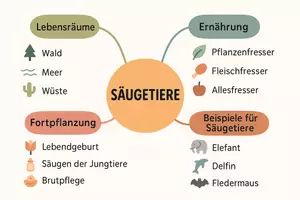 Vorschau - Arbeitsblätter - Lernposter + Arbeitsblatt "Säugetiere" + Onlineübung & MP3 + Mindmap + Infografik - Seite 3