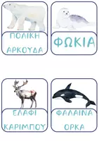 Προεπισκόπηση - Flashcards - ΕΠΟΠΤΙΚΟ ΥΛΙΚΟ ΖΩΑ ΤΩΝ ΠΑΓΩΝ - Σελίδα 2