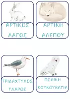 Προεπισκόπηση - Flashcards - ΕΠΟΠΤΙΚΟ ΥΛΙΚΟ ΖΩΑ ΤΩΝ ΠΑΓΩΝ - Σελίδα 3