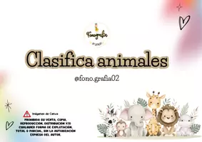 Vista previa - Tarjetas / Manipulativos - Juego de categorización - página 2