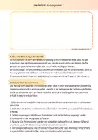 Vorschau - Arbeitsblätter - Merkblatt_Karyogramm - Seite 2