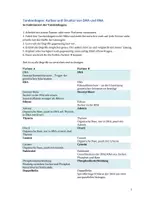 Vorschau - Arbeitsblätter - DNA & RNA - Tandembogen - Seite 2