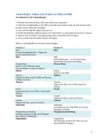 Vorschau - Arbeitsblätter - DNA & RNA - Tandembogen - Seite 1