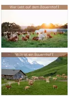 Vorschau - Text - Differenzierte Wissenskarten - Bauernhof - Seite 1