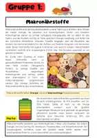 Vorschau - Stundenentwürfe - Naturwissenschaften Materialpaket: Biologie, Chemie & Physik - Seite 2