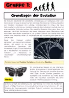 Vorschau - Stationenlernen - Evolution Gruppenarbeit: natürliche Selektion, Fossilien, Mensch Evolution, Evolutionstheorien - Seite 1