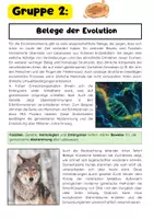 Vorschau - Stationenlernen - Evolution Gruppenarbeit: natürliche Selektion, Fossilien, Mensch Evolution, Evolutionstheorien - Seite 3