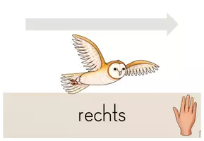 Vorschau - Poster - Anfangsunterricht: Aushänge "links & rechts" für deine Eulenklasse - Seite 3