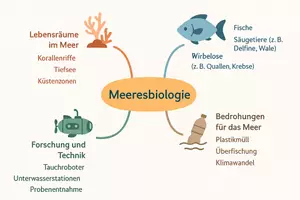 Vorschau - Arbeitsblätter - Arbeitsblatt "Meeresbiologie" + interaktive Lösung & MP3 + Mindmap + Infografik - Seite 3