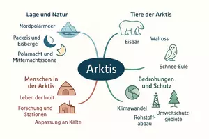 Vorschau - Arbeitsblätter - Lernposter + Arbeitsblätter zum Thema "Arktis" + Lösung & MP3 + Mindmap + Infografik - Seite 3