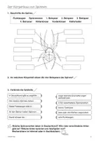 Vorschau - Arbeitsblätter - Spinnen - Seite 1