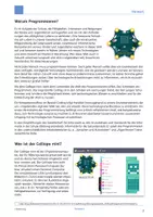 Vorschau - Aufgabenkarten - Die einzelnen Funktionsteile des Calliope mini - Seite 1