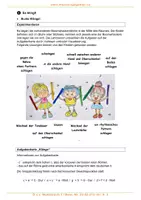 Vorschau - Arbeitsblätter - D a s Musikbuch mit Boomwhackers ❶ ... spielen, rappen, singen ... - Seite 3