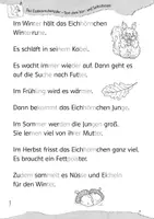 Vorschau - Arbeitsblätter - Das Eichhörnchenjahr, Lapbook - Seite 2