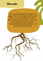 Vorschau - Präsentationen/Tafelbilder - Schreibkompetenz-Blume - Seite 1