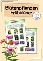 Vorschau - Arbeitsblätter - Blütenpflanzen - Materialpaket - Seite 1