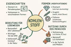 Vorschau - Arbeitsblätter - Lernposter + Arbeitsblätter zum Thema "Kohlenstoff" + Lösung & MP3 + Mindmap + Infografik - Seite 3