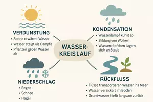 Vorschau - Arbeitsblätter - Lernposter + Arbeitsblatt "Wasserkreislauf" + Onlineübung & MP3 + Mindmap + Infografik - Seite 3