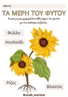 Προεπισκόπηση - Φύλλα εργασίας - Ο ΚΥΚΛΟΣ ΖΩΗΣ ΤΩΝ ΦΥΤΩΝ_EDULAB ANASTASIA - Σελίδα 2