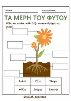 Προεπισκόπηση - Φύλλα εργασίας - Ο ΚΥΚΛΟΣ ΖΩΗΣ ΤΩΝ ΦΥΤΩΝ_EDULAB ANASTASIA - Σελίδα 3
