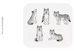 Vorschau - Poster - Classroom-Management: Stille- und Belohnungsritual für deine Wolfsklasse - Seite 3