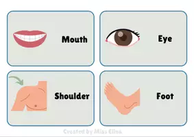 Προεπισκόπηση - Flashcards - Body flashcards - Σελίδα 2