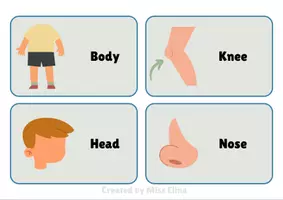 Προεπισκόπηση - Flashcards - Body flashcards - Σελίδα 3