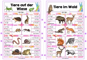 Vorschau - Spiele - Tiere der Welt - Seite 2