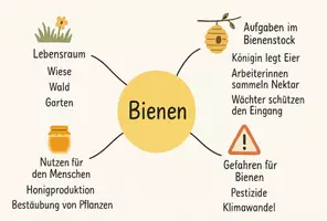 Vorschau - Arbeitsblätter - Arbeitsblatt zum Thema "Bienen" + Onlineübung & MP3 + Mindmap + Infografik - Seite 3