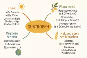 Vorschau - Arbeitsblätter - Lernposter + Arbeitsblätter "Subtropen" + Lösung & MP3 + Mindmap - Seite 2