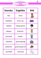 förhandsvisning - Horses - Arbetshäfte med facit - sida 2