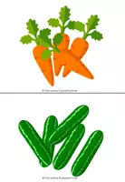 Vorschau - Bildkarten - Vegetables: Bild- und Wortkarten - Seite 1