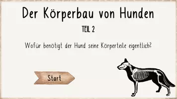 Vorschau - Arbeitsblätter - Körperbau Hund - Teil 2 (interaktive Datei, Onlineübung, Arbeitsblätter) - Seite 2