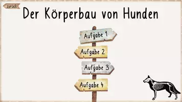 Vorschau - Arbeitsblätter - Körperbau Hund - Teil 2 (interaktive Datei, Onlineübung, Arbeitsblätter) - Seite 3