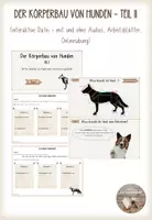 Vorschau - Arbeitsblätter - Körperbau Hund - Teil 2 (interaktive Datei, Onlineübung, Arbeitsblätter) - Deckblatt
