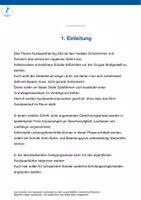 Vorschau - Stundenentwürfe - Ausdauertraining im Sportunterricht - Seite 2