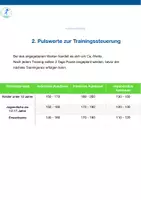 Vorschau - Stundenentwürfe - Ausdauertraining im Sportunterricht - Seite 3