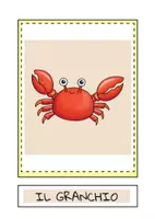 anteprima - Flashcard - "L'estate": flashcards - Pagina 3