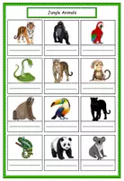 Vorschau - Arbeitsblätter - Dictionary Jungle Animals - Seite 1