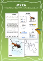förhandsvisning - Fakta om insekter_ myra - försättsblad