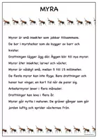 förhandsvisning - Fakta om insekter_ myra - sida 1