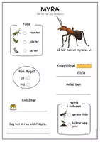 förhandsvisning - Fakta om insekter_ myra - sida 2