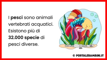anteprima - Presentazioni / Lavagne - I pesci - Unità didattica - Pagina 2